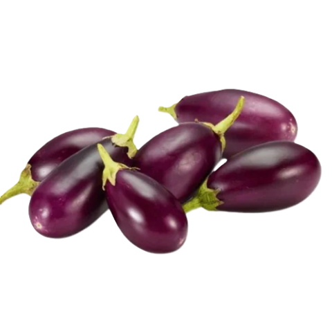 Brinjal