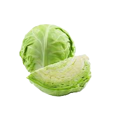 cabbage