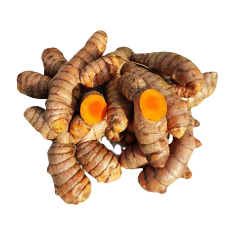 Turmeric